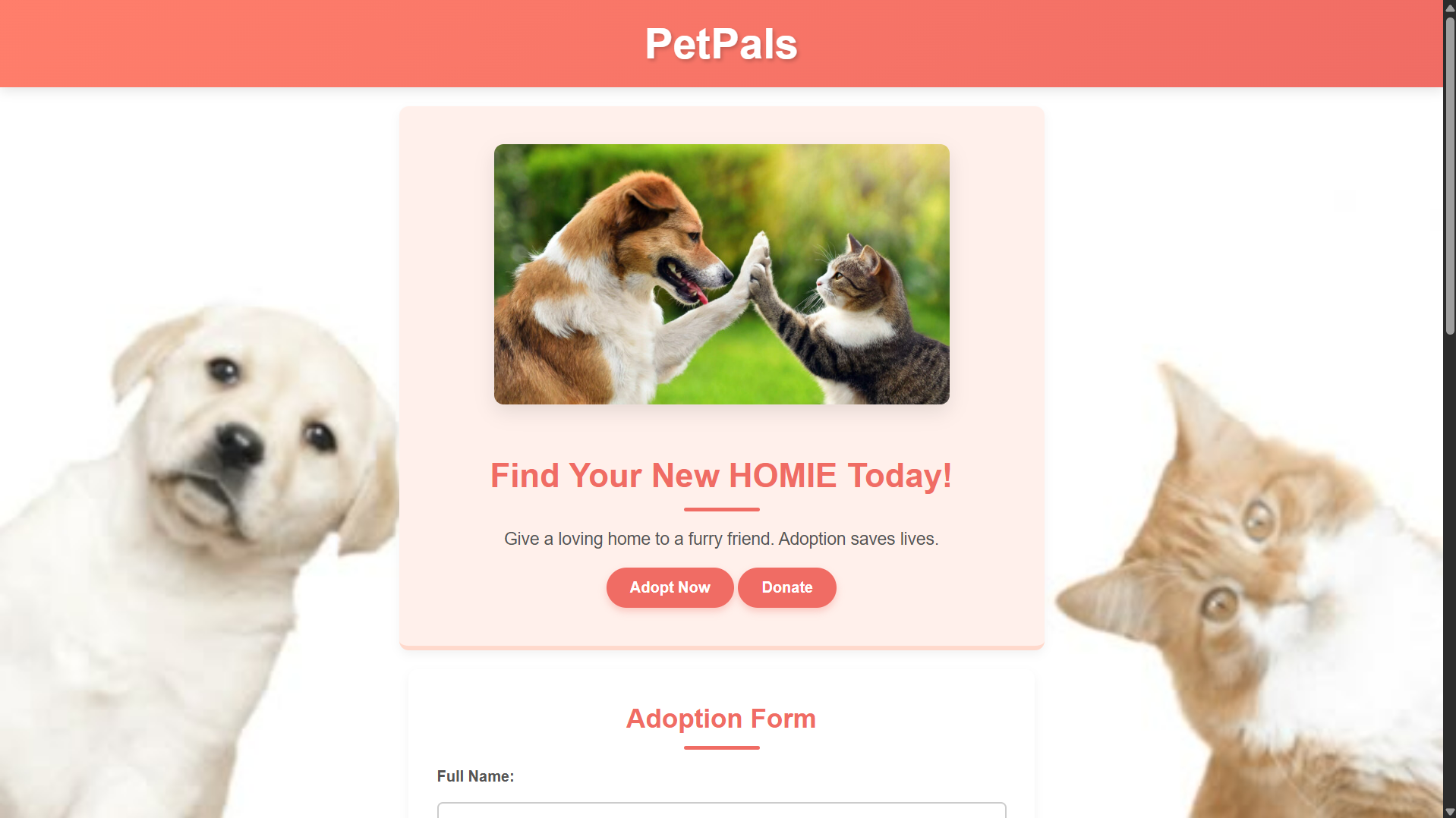 Screenshot of Portfolio Website